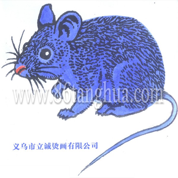 供应热转印烫画 服饰烫图 皮革烫画